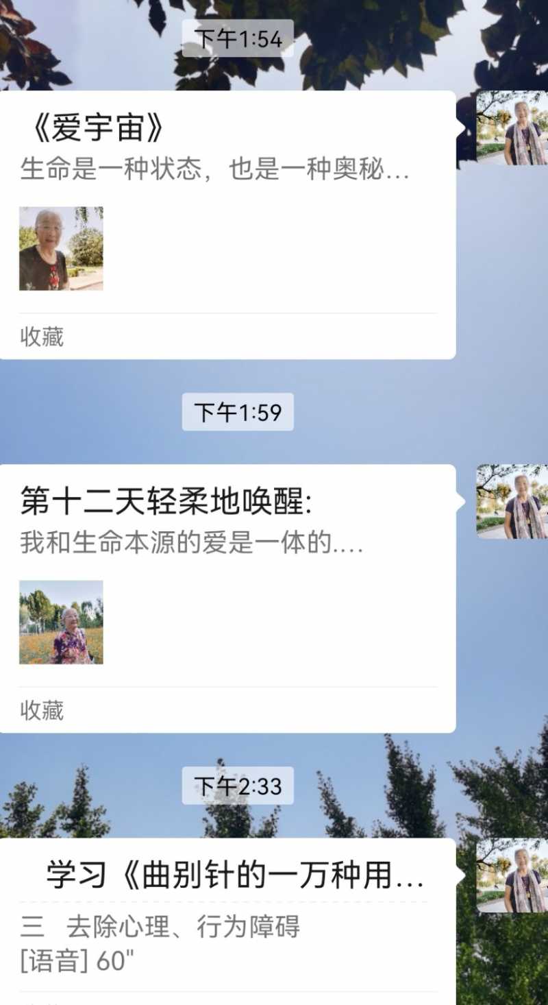 Screenshot_20241020_174141.jpg